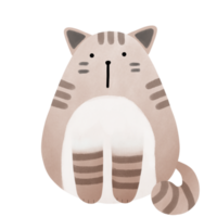 carino soriano gatto con bianca pancia png