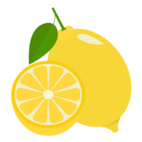 Fresh lemon illustration png