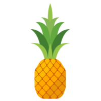 ananas i platt stil png