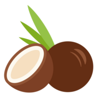 Coconut icon illustration png