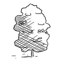 Vector isolated illustration of a black and white sketch of a tree with foliage.