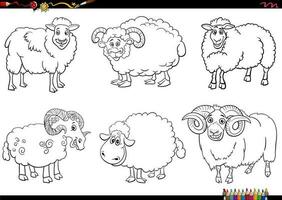 dibujos animados oveja granja animal caracteres conjunto colorante página vector