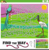 find the way maze game with cartoon bird characters vector