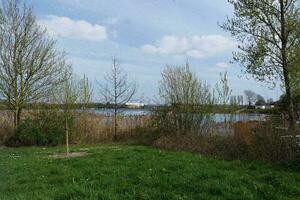 bajo ángulo ver de willen lago parque con local y turista público disfrutando el belleza de lago y parque por caminando alrededor con su familias imágenes estaba capturado en 09-abril-2023 a milton Keynes Reino Unido foto