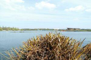 Low Angle View of Willen Lake Park with Local and Tourist Public Enjoying the Beauty of Lake and Park by Walking Around with Their Families. Footage Was Captured on 09-April-2023 at Milton Keynes UK photo