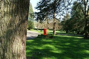 hermosa ver de arboles y ramas a local público parque de lutón pueblo de Inglaterra foto