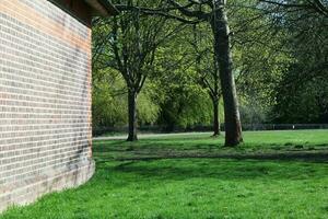 Beautiful View of Trees and Branches at Local Public Park of Luton Town of England photo