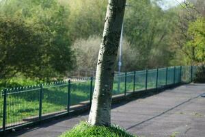 Beautiful View of Trees and Branches at Local Public Park of Luton Town of England photo