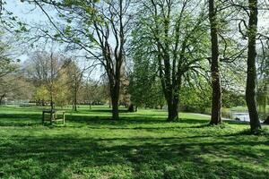 hermosa ver de arboles y ramas a local público parque de lutón pueblo de Inglaterra foto