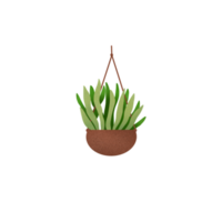 Hanging Plants Illustration png