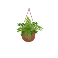 Hanging Plants Illustration png