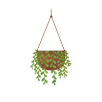 Hanging Plants Illustration png