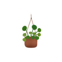 hängande växter illustration png