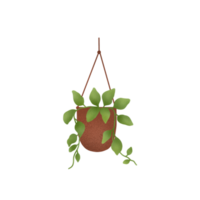 Hanging Plants Illustration png