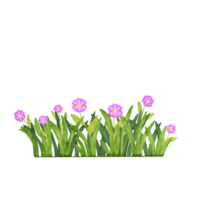 gras waterverf illustratie png