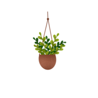 Hanging Plants Illustration png