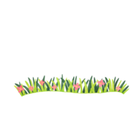 Gras Aquarell Illustration png