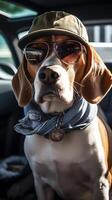 funny beagle dog in sunglasses in the summer sitting in the car, pets, rest with animals, life with animals. photo