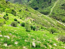 Beautiful nature landscape and mountain. blue sky. Armenia, Vayots Dzor province photo