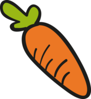 Zanahoria icono aislado png