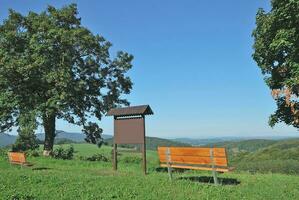 descansando sitio en gigante montañas, checo república foto