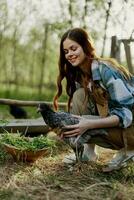 A woman with a smile takes care of the health of a chicken and holds a chicken in her hands while working on a farm in nature feeding the birds organic food photo