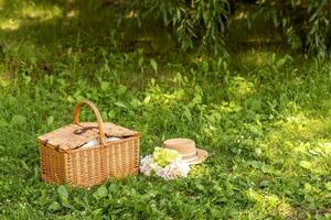 picnic cesta en verde césped en jardín, espacio para texto. bandera diseño foto