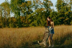 un mujer obras de teatro y bailes con un fornido raza perro en naturaleza en otoño en un campo de césped y sonrisas a un bueno noche en el ajuste Dom foto