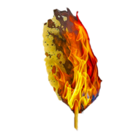fire flame illustration png