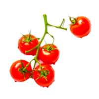 ai generativ tomat png transparent