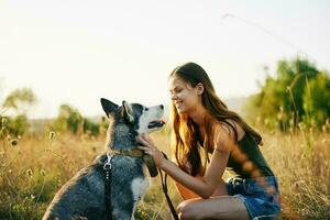 Woman walking her husky dog and smiling happily with teeth on a nature walk on the grass in the autumn sunset, lifestyle dog friend photo