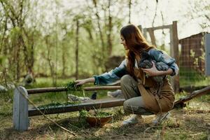 Outdoors in the poultry pen, a young woman farmer feeds fresh green grass to young laying hens and smiles photo