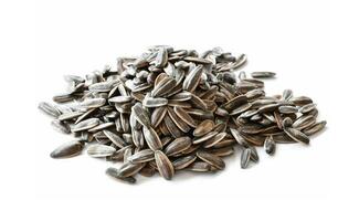 Sunflower seeds for eating as snack in freetimes. photo