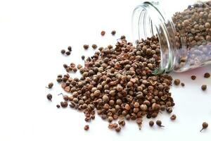 A pile of Sichuan pepper seeds photo