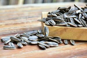 Sunflower seeds for eating as snack in freetimes. photo