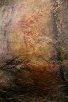 Prehistoric paintings on rock known as petroglyphs in Colombia photo