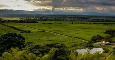 Sugar cane field and the majestic mountains at the Valle del Cauca region in Colombia photo