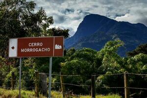 The famous Morrogacho Hill located on the beautiful Cocora Valley at the region of Quindio in Colombia. On the sign you can read Morrogacho Hill photo