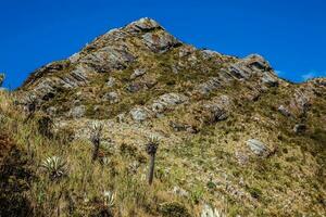 hermosa paisaje de Colombiana andino montañas demostración páramo tipo vegetación en el Departamento de cundinamarca foto