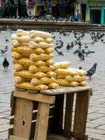 Corn being sold at San Francisco square in Cali to the people feed the pigeons while taking pictures photo