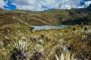 Beautiful landscape of Colombian Andean mountains showing paramo type vegetation in the department of Cundinamarca photo