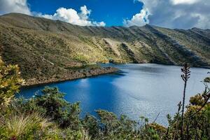 hermosa paisaje de Colombiana andino montañas demostración páramo tipo vegetación en el Departamento de cundinamarca foto