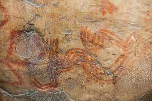 Prehistoric paintings on rock known as petroglyphs in Colombia photo