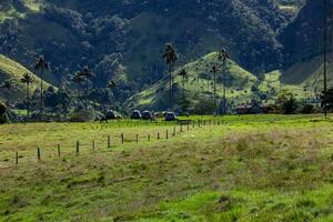 cámping carpas, cera palmas y el hermosa montañas a cocora Valle situado en el quindio región en Colombia foto