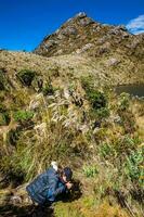 joven mujer explorador el naturaleza de un hermosa páramo a el Departamento de cundinamarca en Colombia foto