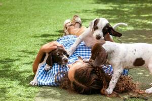 hermosa joven niña teniendo divertido con su pequeño francés braque cachorros foto