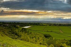 Sugar cane field and the majestic mountains at the Valle del Cauca region in Colombia photo