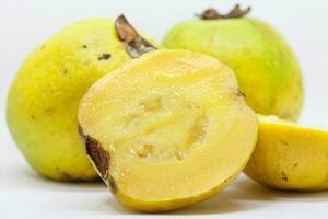 Fruit of the Psidium friedrichsthalianum called guayaba agria or guayaba coronilla photo