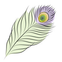 ilustración de plumas de pavo real png
