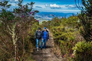 joven Pareja explorador naturaleza a un hermosa páramo a el Departamento de cundinamarca en Colombia foto